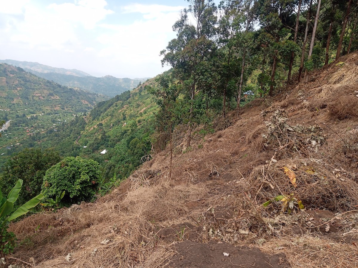 Cleared hillside plot above the valley, prepared for planting