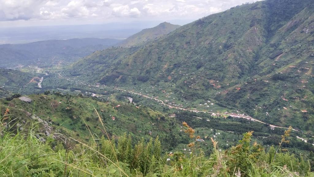 Deep green valley with a town winding below in the Rwenzori mountains
